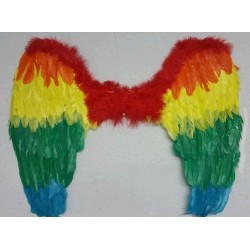 Alas Multicolor de Plumas 59x46 cm.