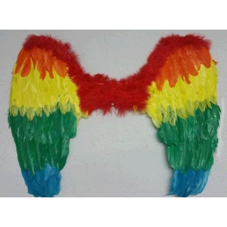 Alas Multicolor de Plumas...