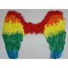 Alas Multicolor de Plumas 59x46 cm.