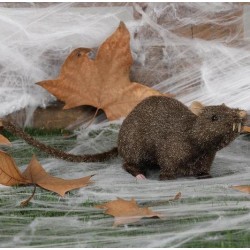 Rata de Imitación de 25 cm.