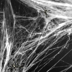 TELARAÑA BLANCA 20 GR.