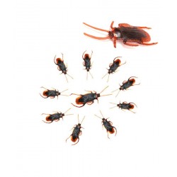 Cucarachas Marrones 10 unid.