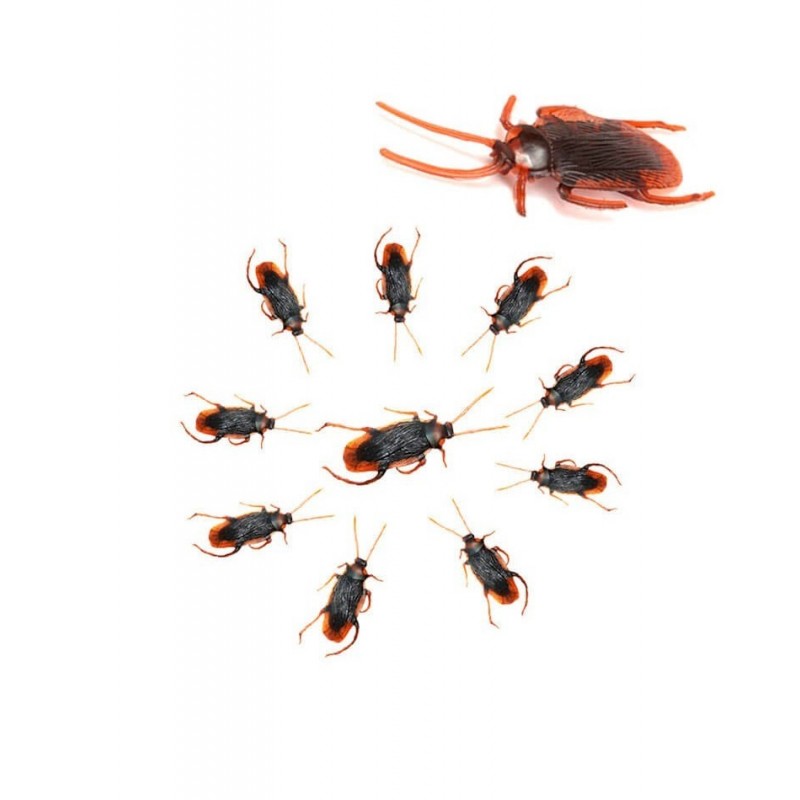 Cucarachas Marrones 10 unid.