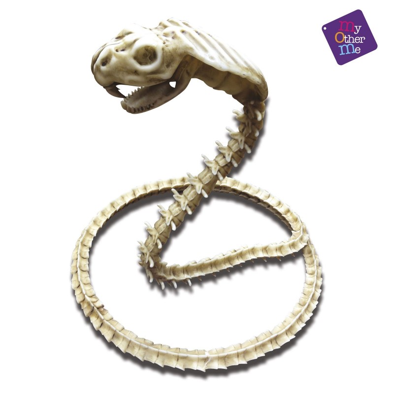 Cobra Esqueleto 50x43x13 cm.