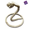 Cobra Esqueleto 50x43x13 cm.