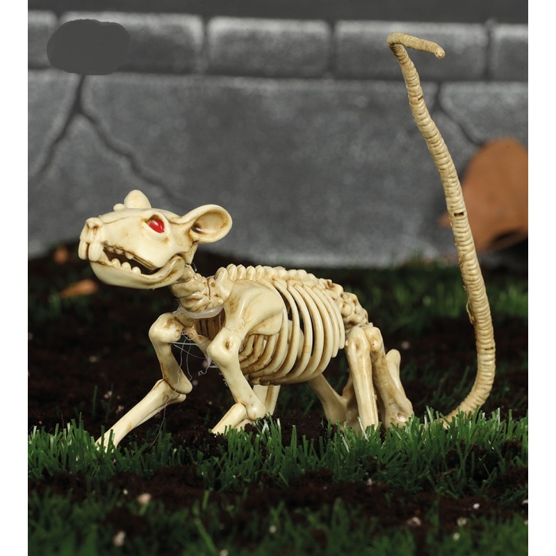 Esqueleto de Rata 20 cm.