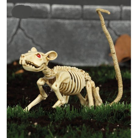 Esqueleto de Rata 20 cm.