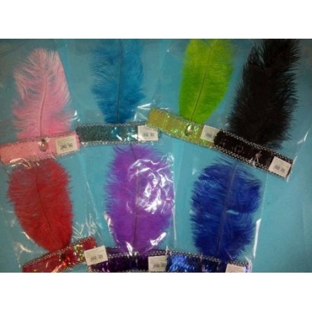 Cinta de Charleston Pluma...