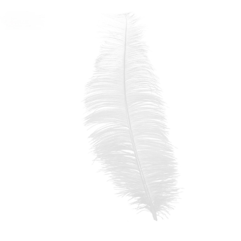 Pluma Blanca de Avestruz 30 cm.