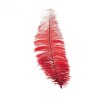 Pluma Roja de Avestruz 30 cm.