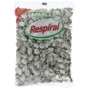 Respiral Eucalipto Mentol 1 Kg.