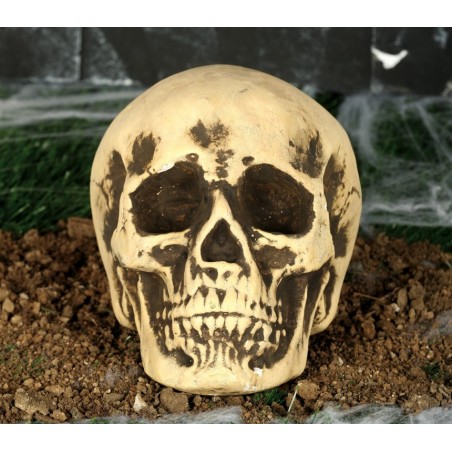 Calavera Decoración 20 cm.