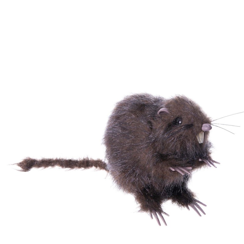 Rata Decoración 13x9x6 cm.