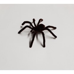TARANTULA PELUDA