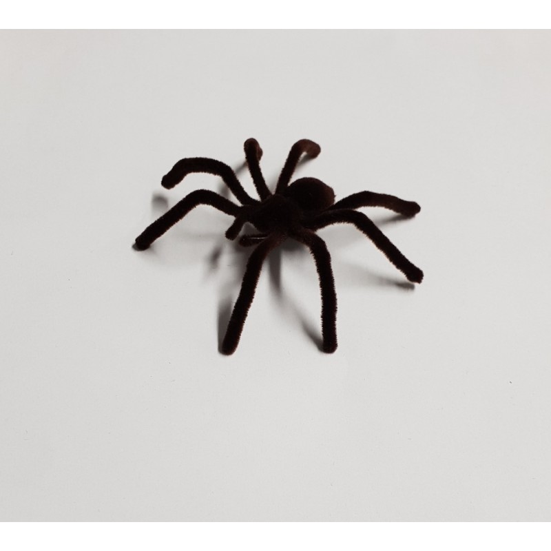 TARANTULA PELUDA