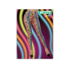 B/CART. LEGGINGS MULTICOLOR