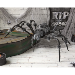 G. ARAÑA 9X28X162CM