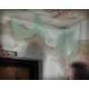 B/CART. CORTINA HALLOWEEN 183X76 CM  VERDE