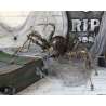 ARAÑA HALLOWEEN MARRON 60 CM