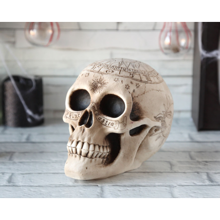 CALAVERA DECORACIÓN 14 X 20...