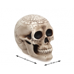 CALAVERA DECORACIÓN 14 X 20 X 14 CM.