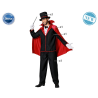 DISFRAZ MAGO ADULTO SORPRENDENTE