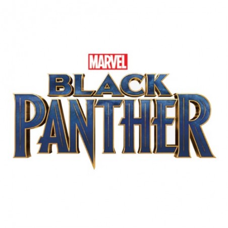 CAJA HASBRO MARVEL BLACK PANTHER (8)