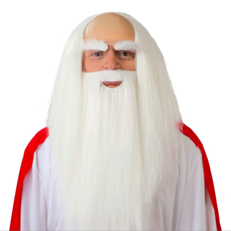 Peluca y Barba de Druida