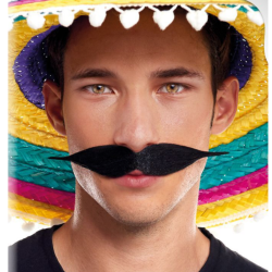 Bigote Negro Mejicano