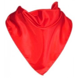 PAÑUELO SAN FERMIN 100 X 75 X 75 CM.