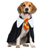 Disfraz Capa Estudiante Mascotas