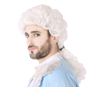 Peluca Blanca con Coleta de Tirabuzones Época Hombre