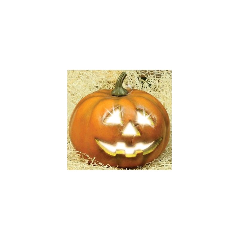 CALABAZA C/LUZ 20 CM.