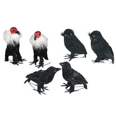 PÁJAROS SURT.HALLOWEN 14X11...