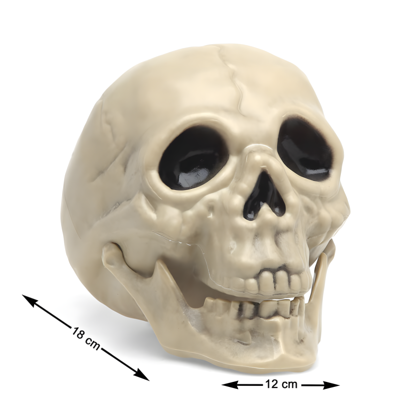 Calavera Decoración Halloween 18X12X14cm