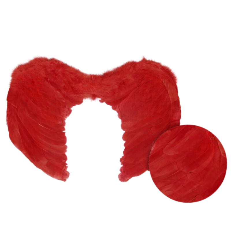 Alas de Angel Rojas de Pluma 60x45 cm.