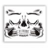 Tatuaje de Cara Esqueleto 30 x 14 cm – Ideal para Fiestas de Halloween y Disfraces