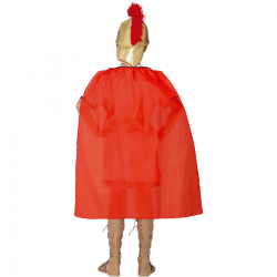 Disfraz de Gladiador Infantil