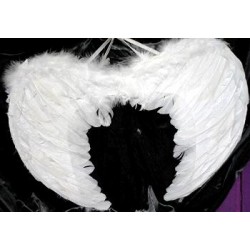 Alas de Angel Blancas 52 x 35 cm.