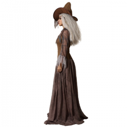 Disfraz de Bruja Marrón para Mujer Adulto