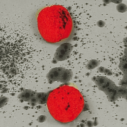 Disfraz de Payaso Malvado Infantil