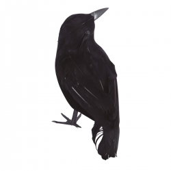 Cuervo Decorativo 20 cm