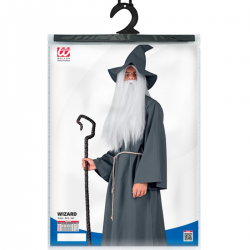 Disfraz de Mago Adulto