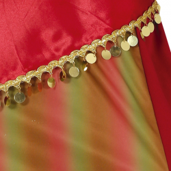 Disfraz de Zíngara Mujer Adulta