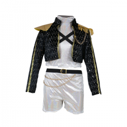 Disfraz Pop-Star Silver Leader