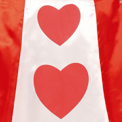 Disfraz Reina de Corazones Infantil