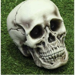 CALAVERA 15X12X18 CM.