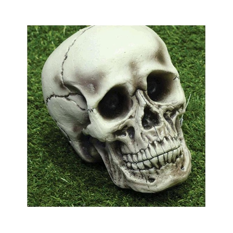 CALAVERA 15X12X18 CM.