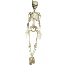 ESQUELETO COMPLETO 90 CM.