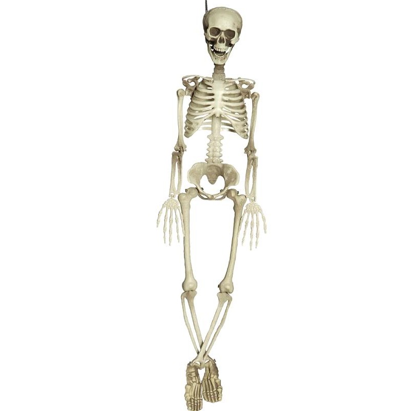 ESQUELETO COMPLETO 90 CM.